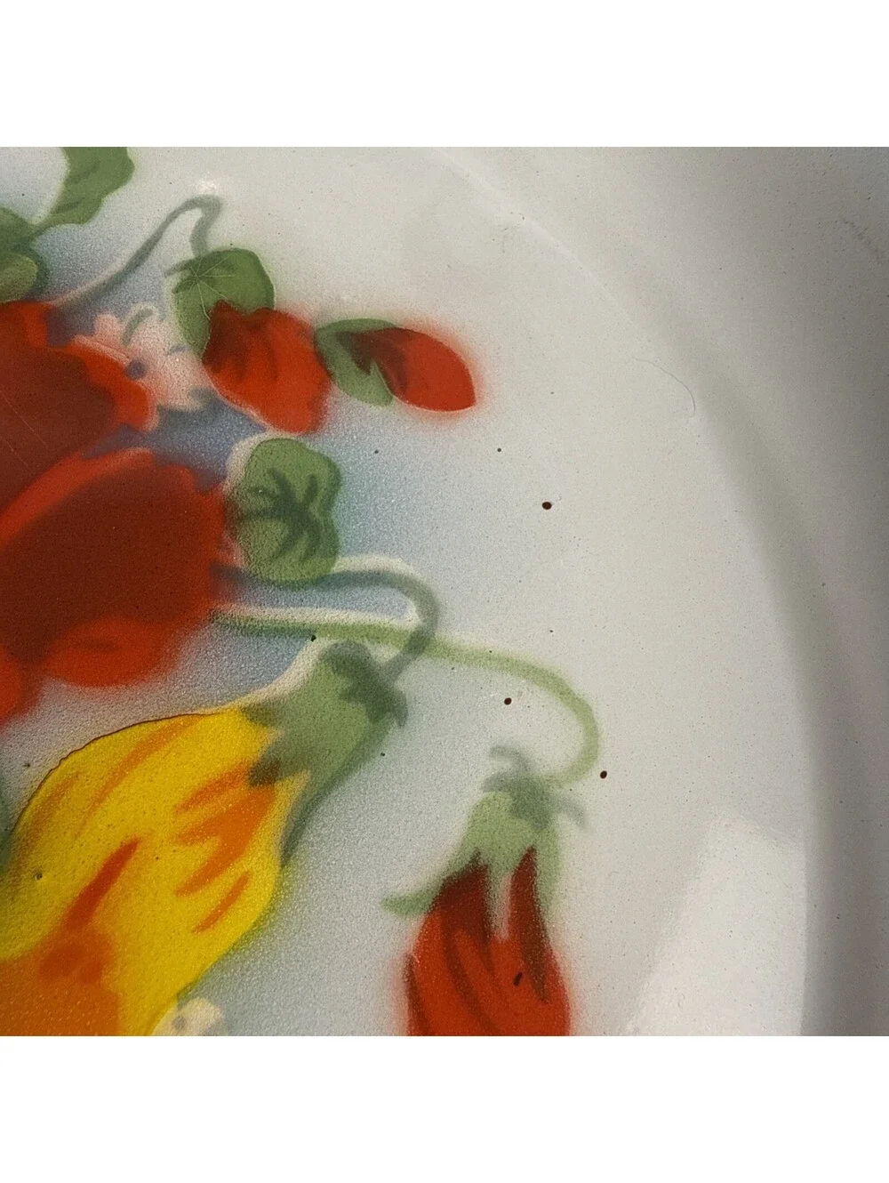 Golden Rhinoceros Enamel Plates • 35 cm Floral Design Made in Shanghai (Set/2)